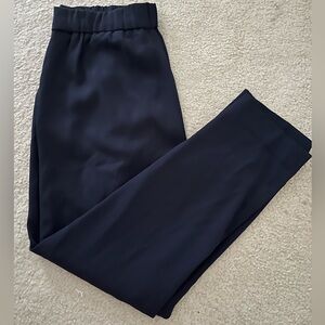 Aritzia Dress Pant